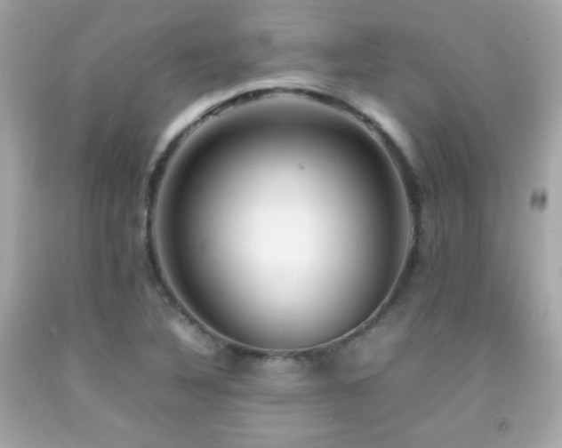 X0000092091316200709121504