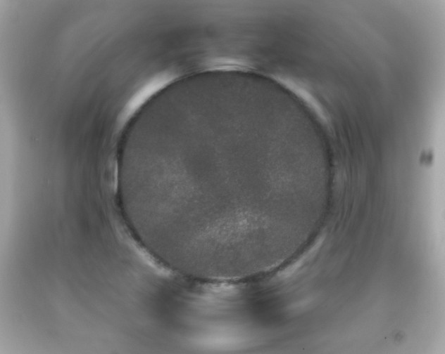 X0000092091317200709121504