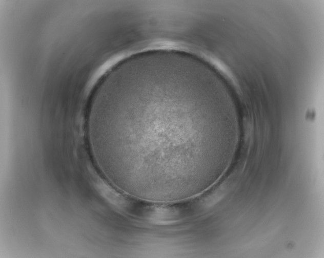 X0000092091318200709121504
