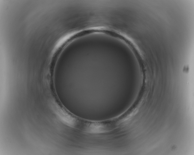 X0000092091319200709121504