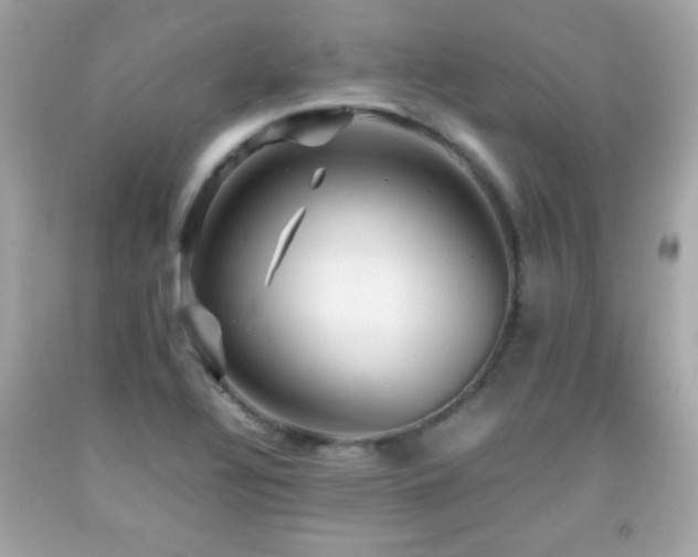 X0000092091320200709121504