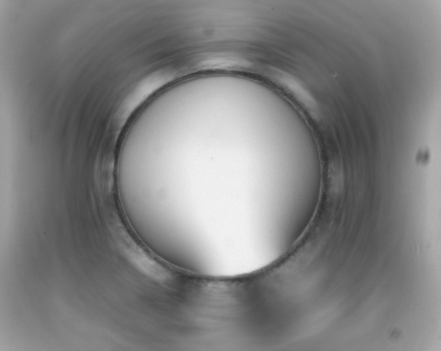 X0000092091322200709121505