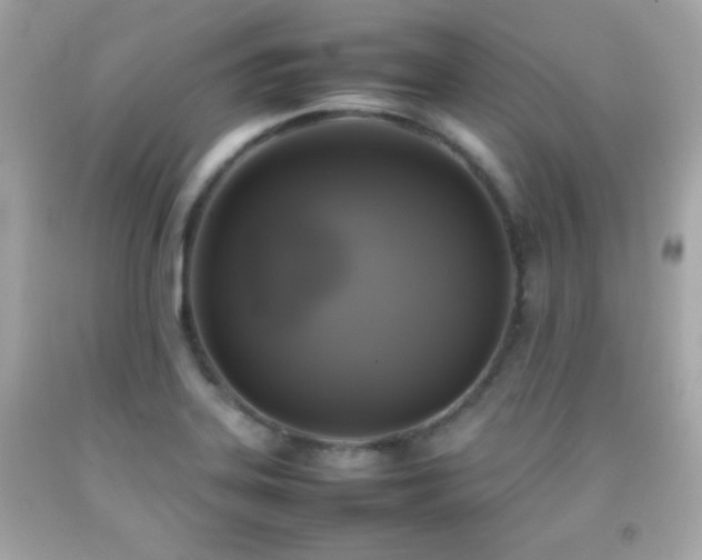 X0000092091323200709121505