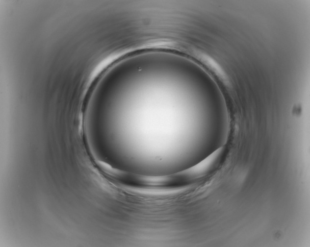 X0000092091324200709121505