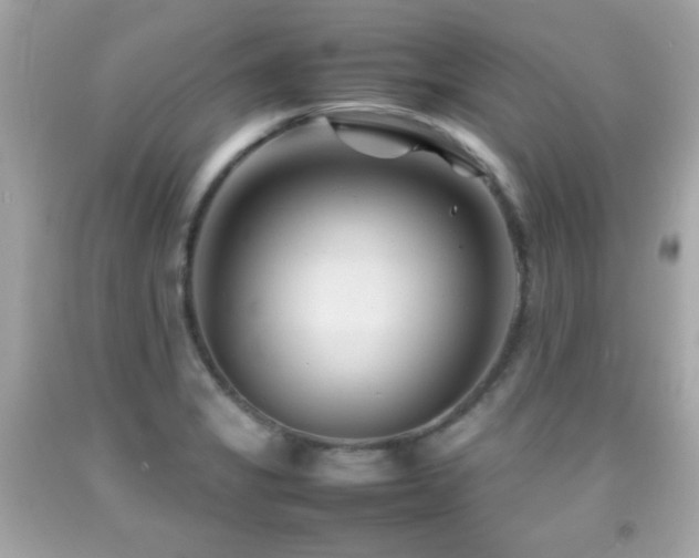 X0000092091325200709121505