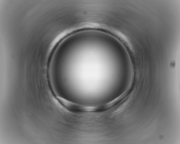 X0000092091326200709121505