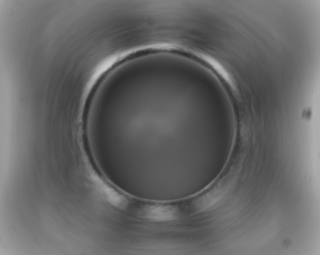 X0000092091327200709121505