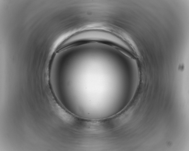 X0000092091328200709121505