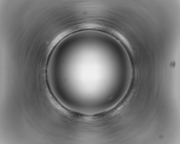 X0000092091330200709121505