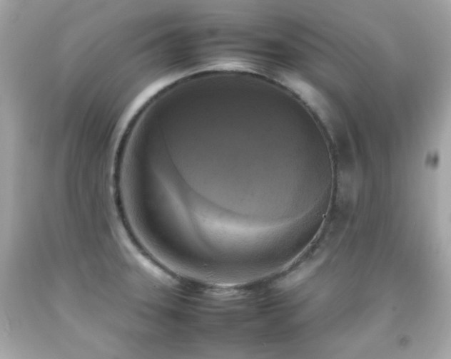 X0000092091331200709121505