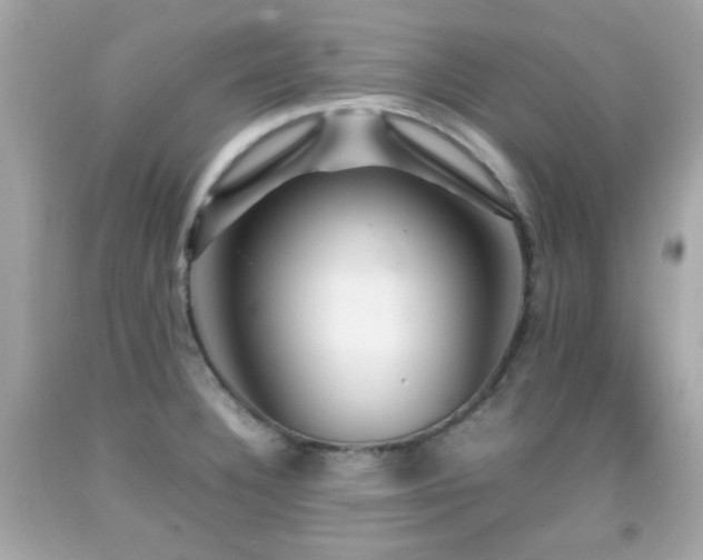 X0000092091332200709121505