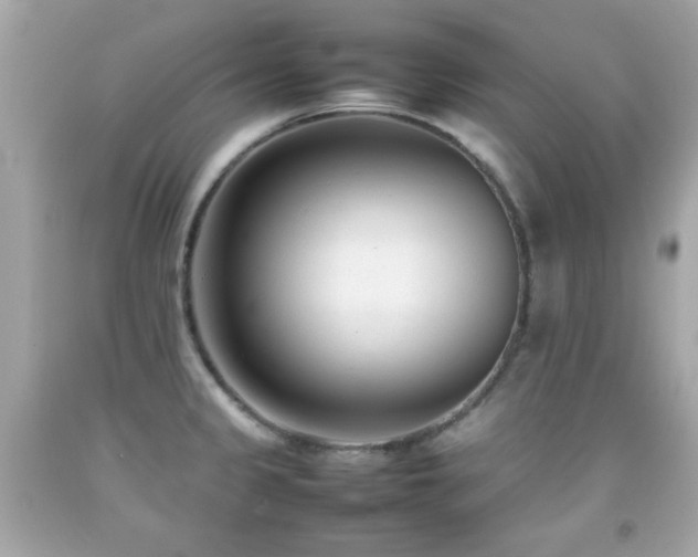 X0000092091333200709121505