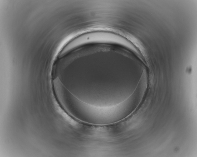 X0000092091334200709121505