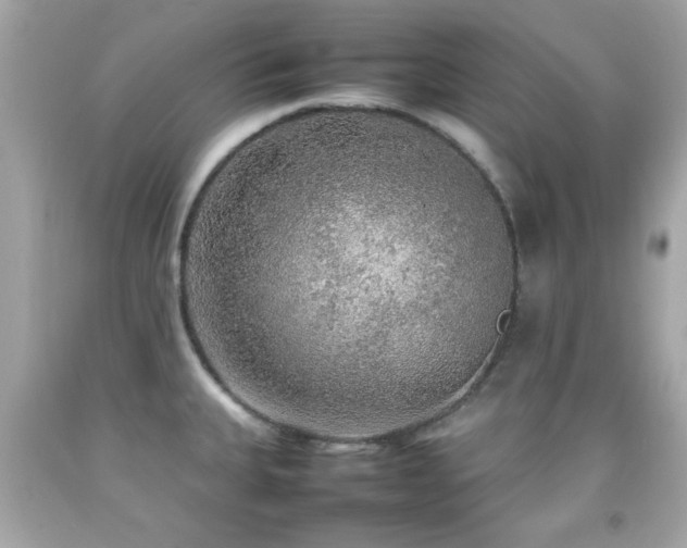 X0000092091335200709121505