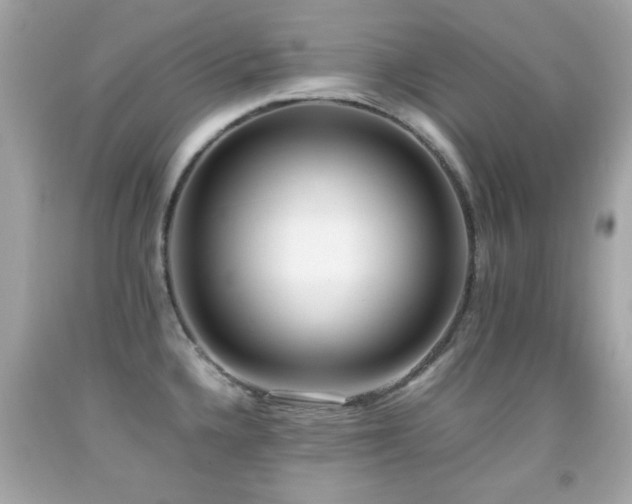 X0000092091336200709121505