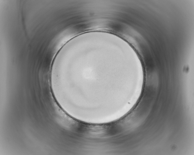 X0000092091338200709121505