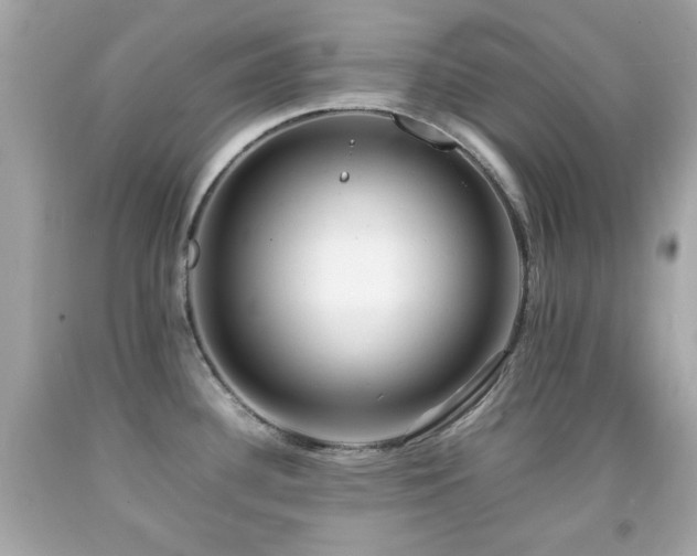 X0000092091340200709121505