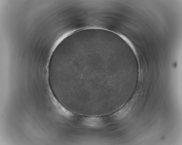 X0000092091341200709121505