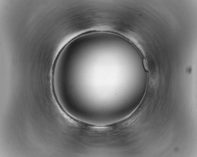 X0000092091343200709121505