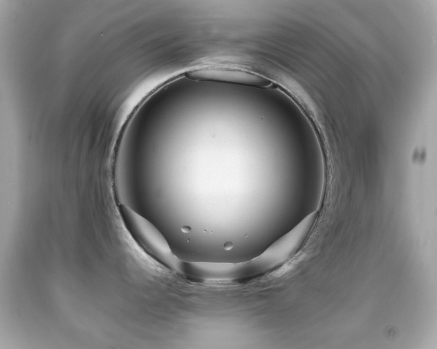 X0000092091344200709121505
