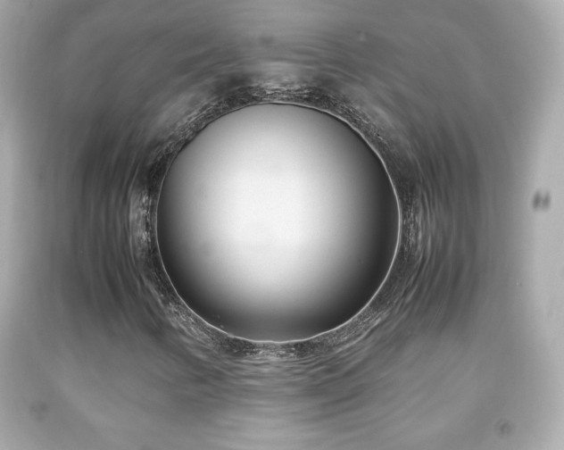 X0000092091346200709121504