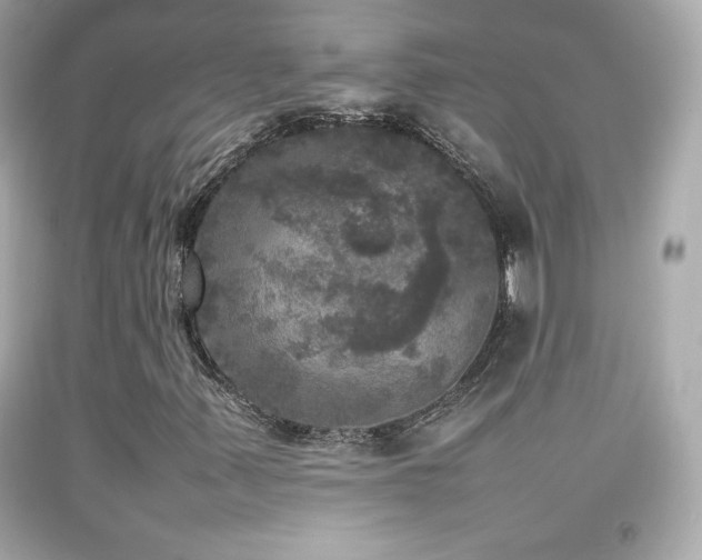 X0000092091347200709121504