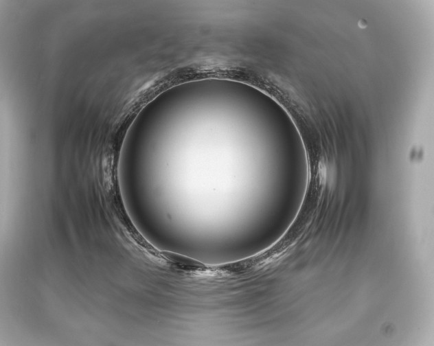 X0000092091348200709121504