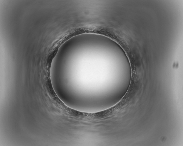 X0000092091349200709121504