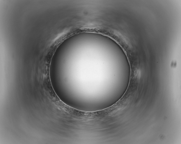 X0000092091350200709121504