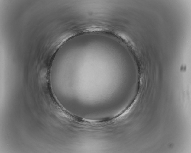 X0000092091353200709121504