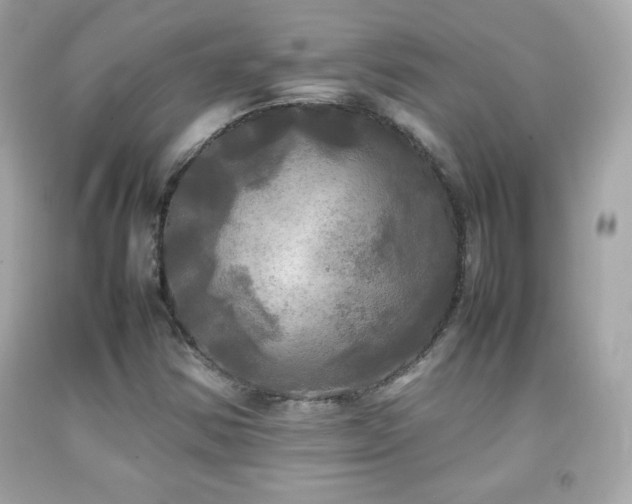 X0000092091354200709121504