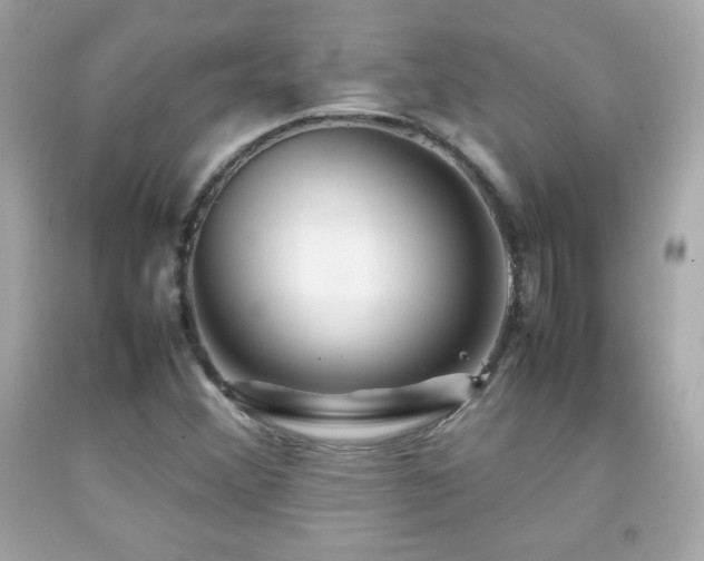 X0000092091356200709121504
