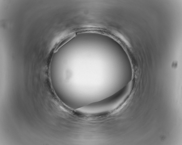 X0000092091357200709121504