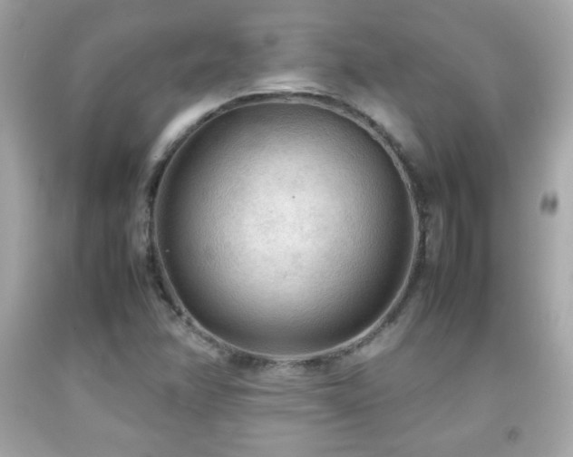 X0000092091358200709121504