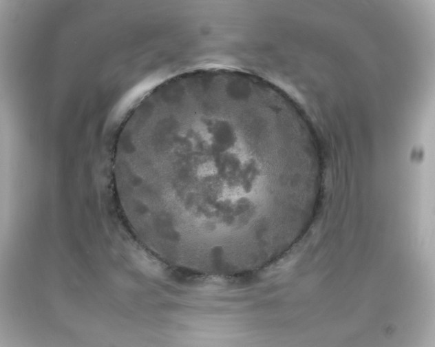 X0000092091359200709121504