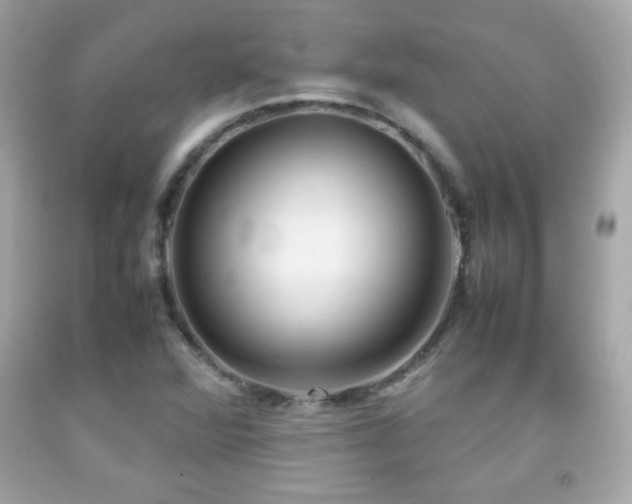 X0000092091360200709121504