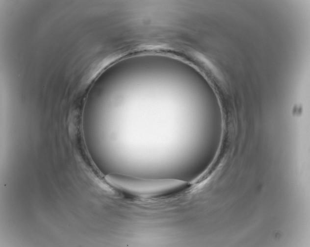 X0000092091361200709121504