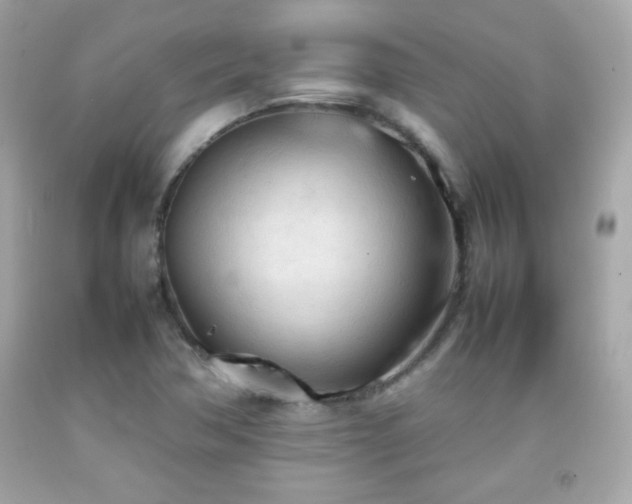 X0000092091362200709121504