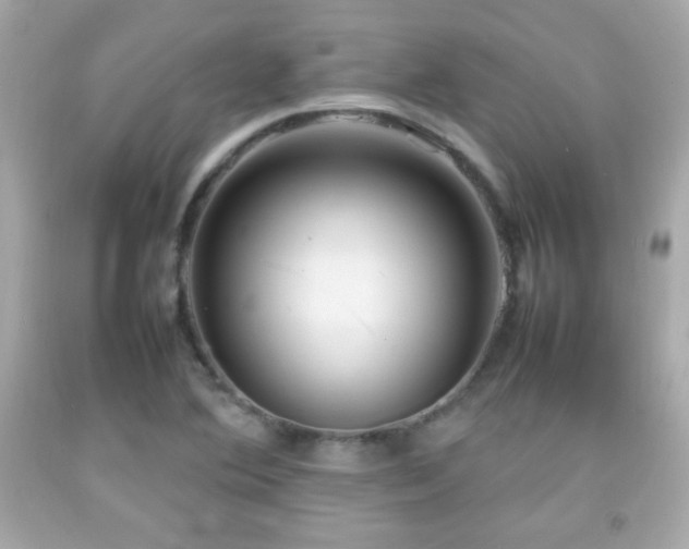 X0000092091364200709121504