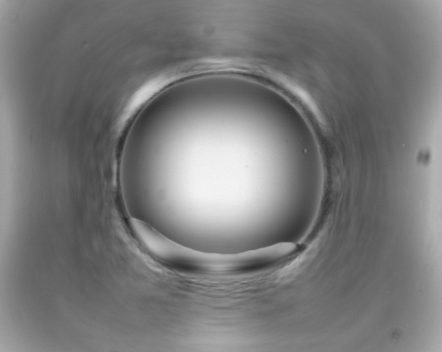 X0000092091365200709121504