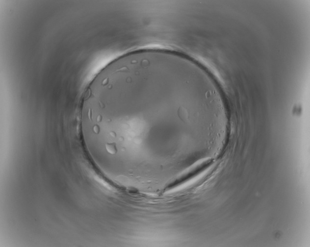 X0000092091367200709121504