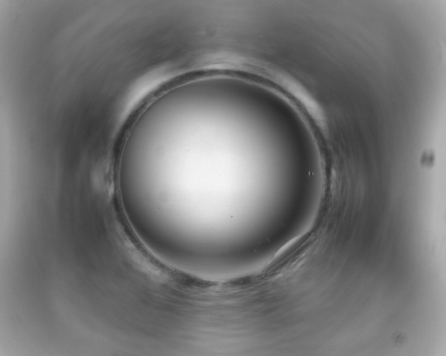 X0000092091368200709121504