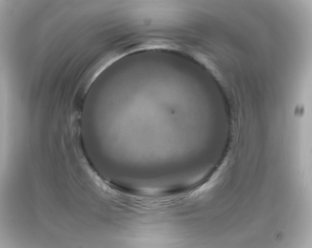 X0000092091369200709121504