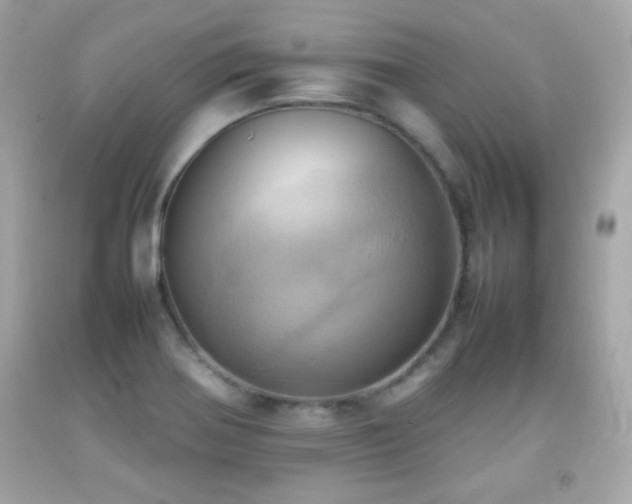 X0000092091370200709121504