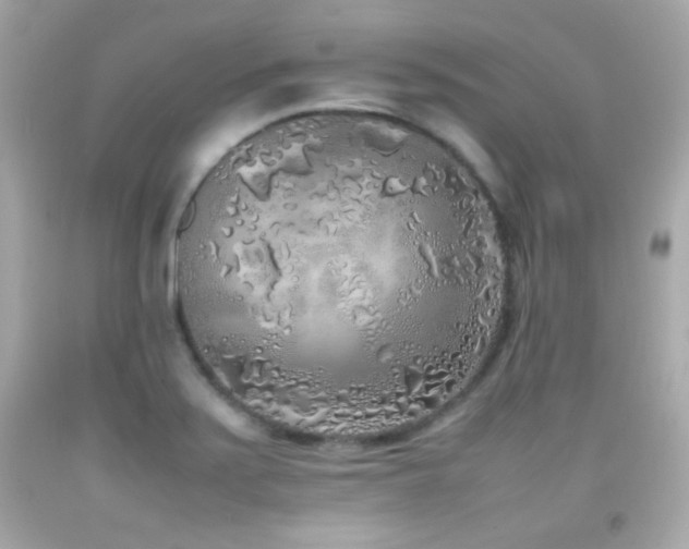 X0000092091371200709121504