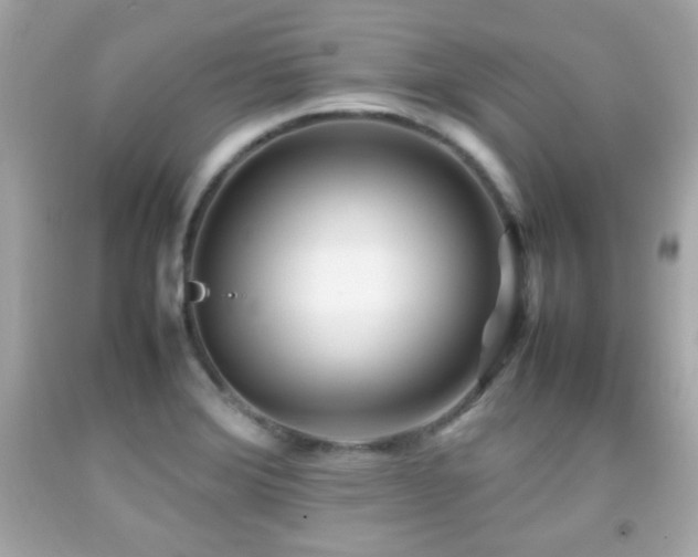 X0000092091372200709121504