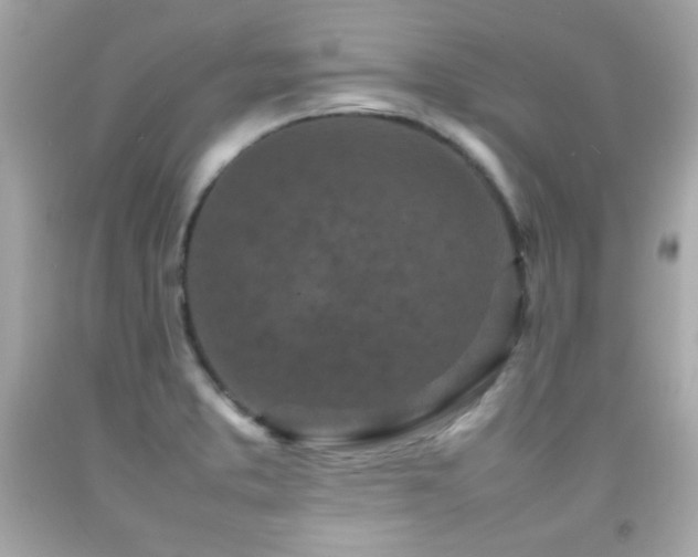 X0000092091373200709121504