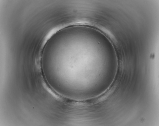 X0000092091374200709121504
