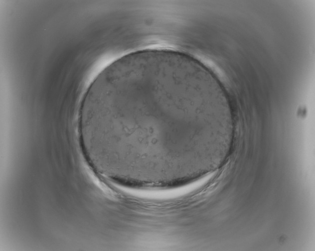 X0000092091375200709121504