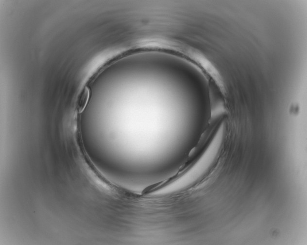 X0000092091376200709121504